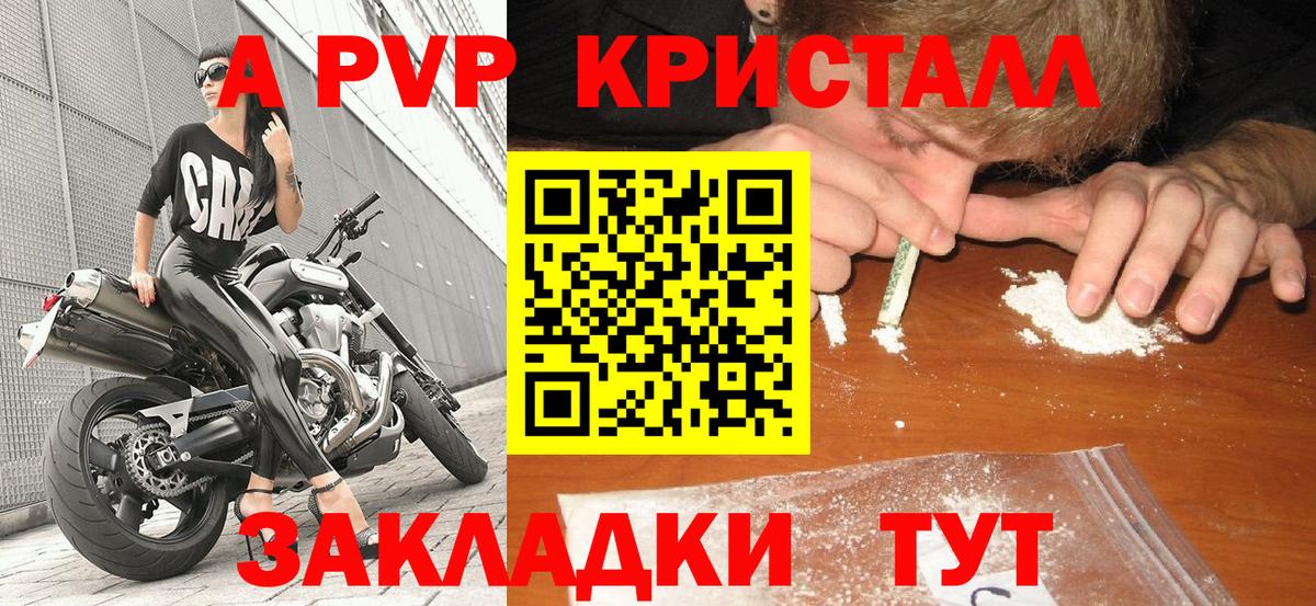 Альфа ПВП СК Балтийск