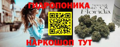 гидропоника Кунгур